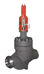 BFS Co., Ltd. Globe valve  6