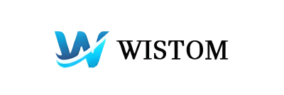 Zhihui Shandong(wistom) Instrument