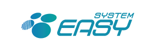 Easy System's Corporation