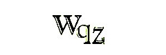 WQZ Co., Ltd. Corporation