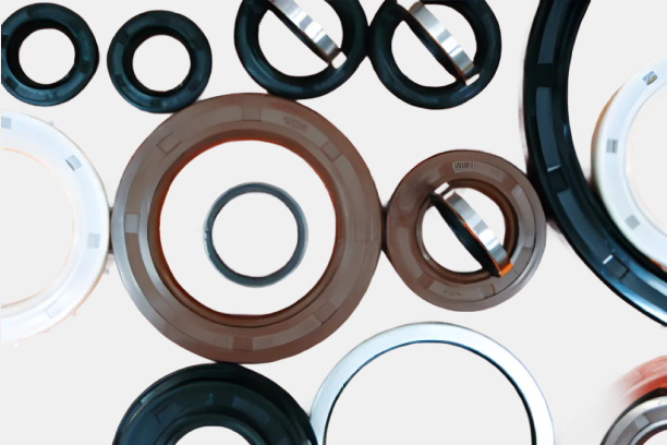 ILSHIN Oil Seal