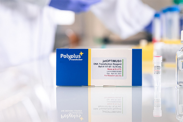 Polyplus