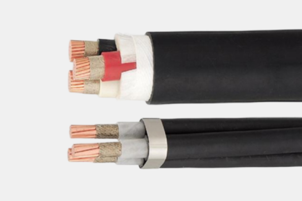 Fujikura Dia Cable