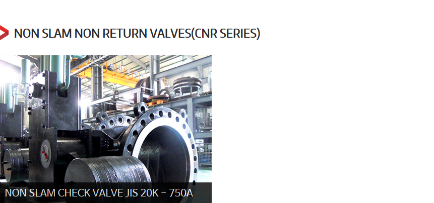 DKC Non Slam Non Return Valves 3
