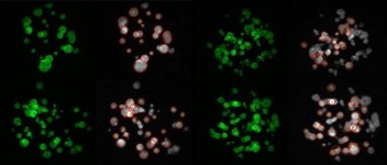 ATI, Advanced Technology High Throughput Screening (Fluorescence Scanner) ezScan 2