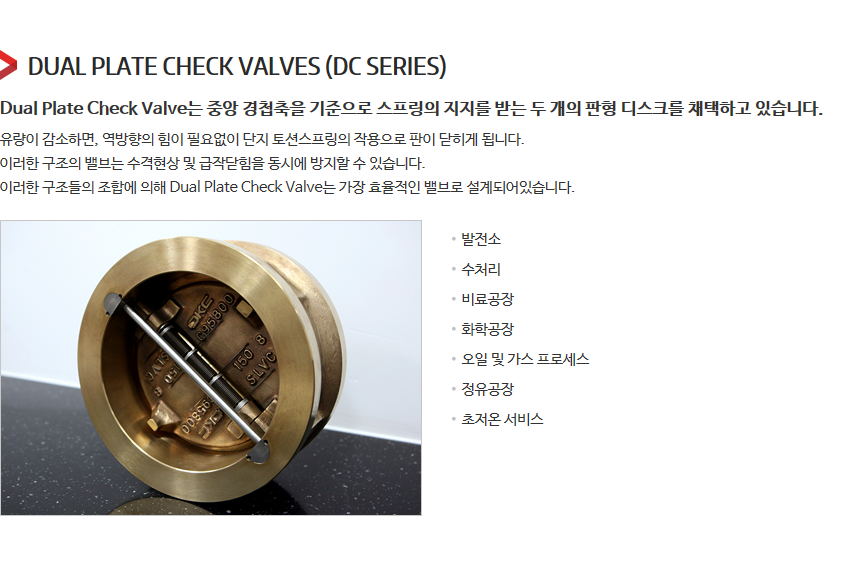 DKC Dual Plate Check Valves 3