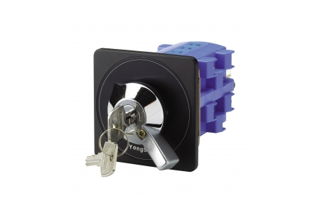 DN Type Key Cam Switch