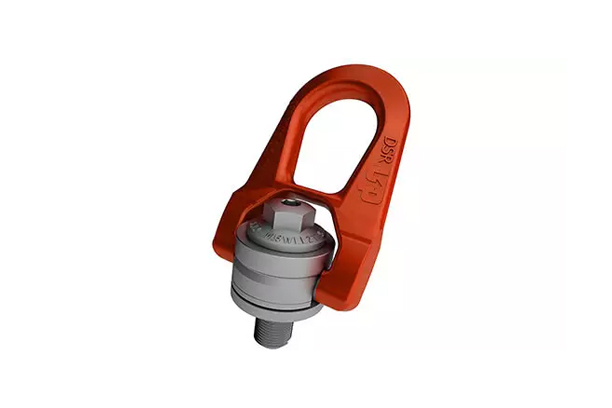 Double swivel lifting ring