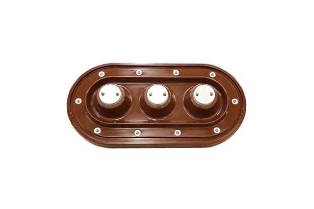 Epoxy Insulator (MV/HV)