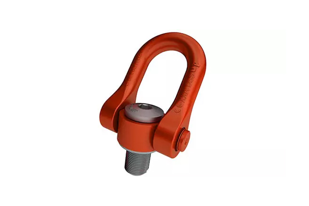 Double swivel lifting ring