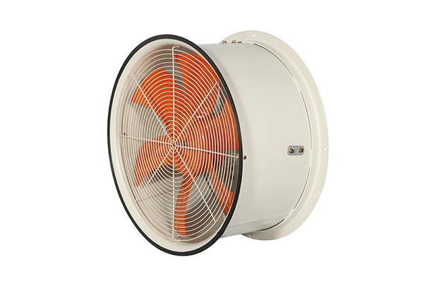 Portable Fan Blower