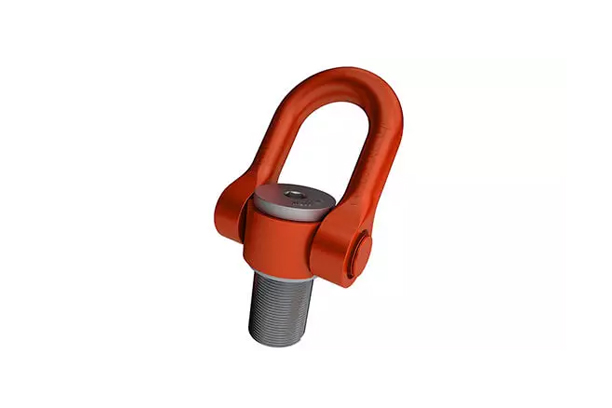 Double swivel lifting ring