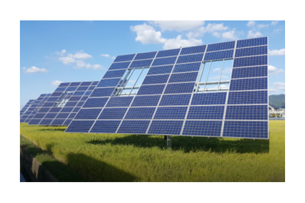 Agrophotovoltaics