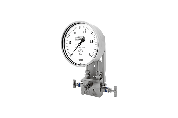 Differential pressure gauge