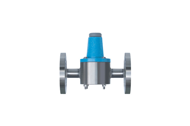 Back Pressure Valve