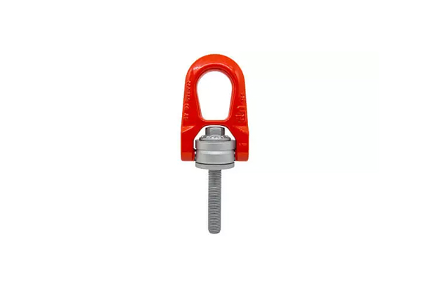 Double swivel lifting ring