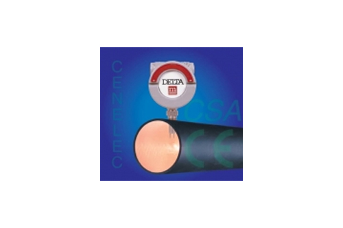 [Mass Flow Switch] 열식질량유량계 - DeltaM