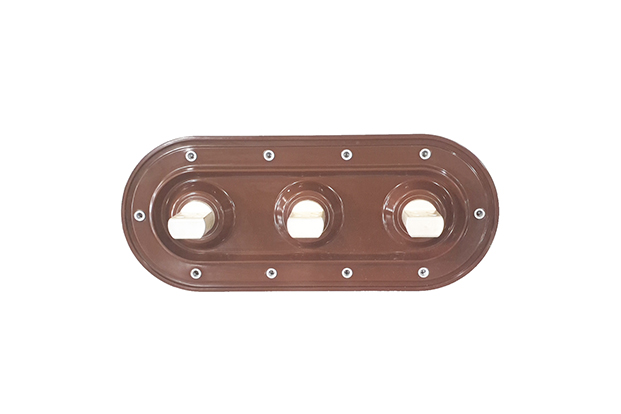 Epoxy Insulator (MV/HV)