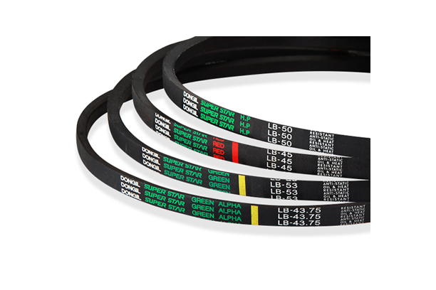 Wrapped Belt - GREEN & GREEN ALPHA