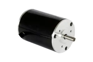 BLDC Motor (BLDC 42BLY)