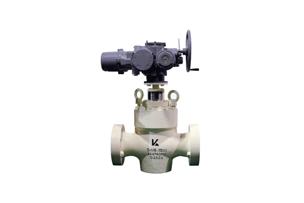 Mud Gate Valve