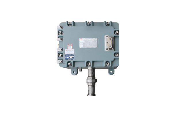 Multi Point Thermocouple And Resistance Temperature Detector