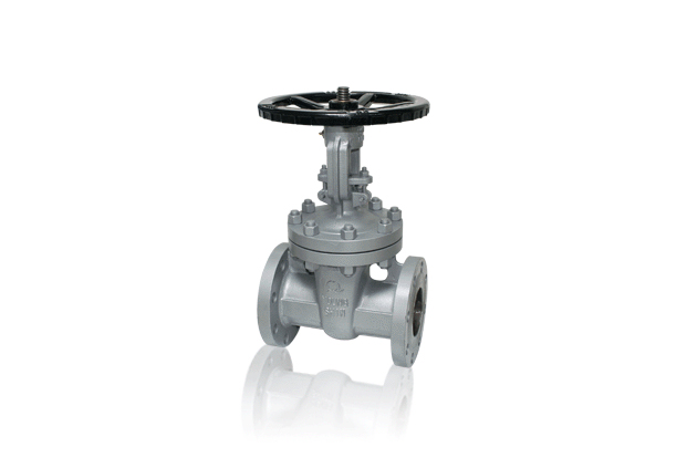 플랜지형 바깥나사 게이트 밸브 (주강20K)