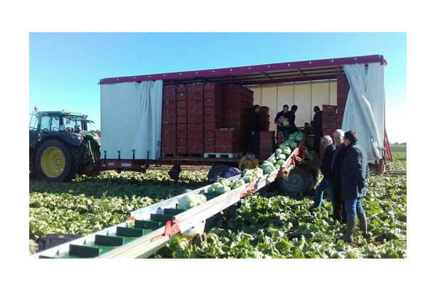 "LA BRETONNE" Vegetable Trailer