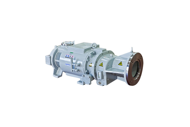 Dry Pump VDP Series