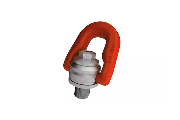 Double swivel lifting point
