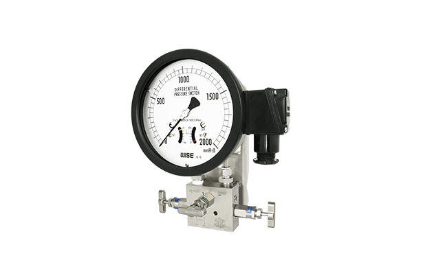 Indicating type differential pressure switch with bellows element