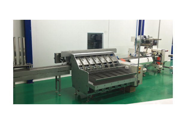 스틱 비스킷 라인