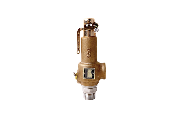 Safety Relief Valve