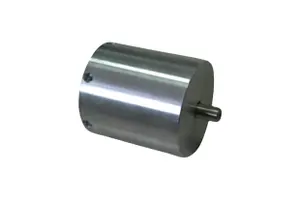 BLDC Motor (BLDC 33BL)