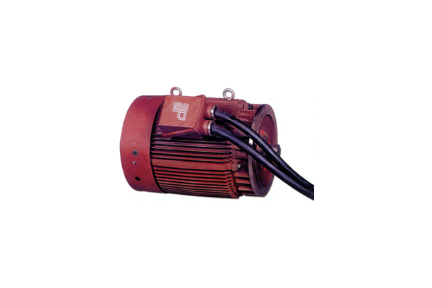 Pole change starting motor (120 Hp. 4p/8p) (Start Torque : 270%)
