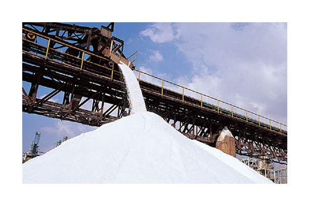 Chemical Resistant Conveyor Belt