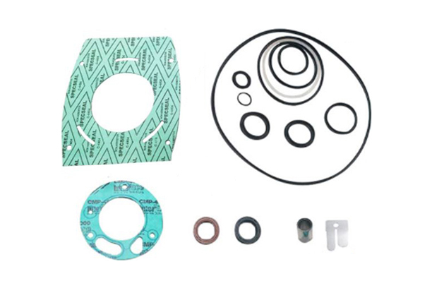 Service Kit (Oil Rotary Pump)