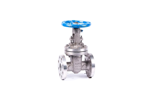 Gate Valve (Steel Valves)