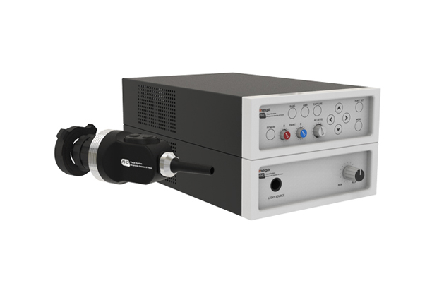 Full-HD Visual System