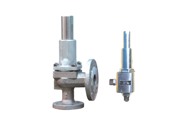 Cryogenic Safety Relief Valve (Conventional Type)