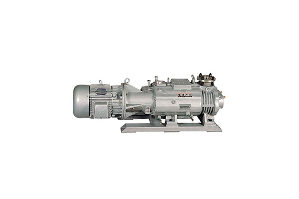 Dry Pump VDPH Series