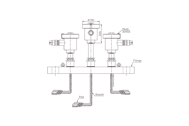 Explosion proof Multi point thermocouple and resistance temperature detector
