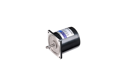 Induction Motor (6W)