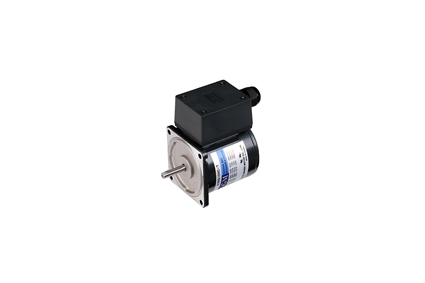 Terminal box Reversible Motor (25W)