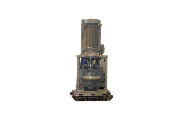 Vertical fire pump for warship