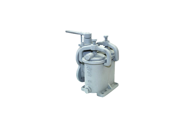 Strainer Valves