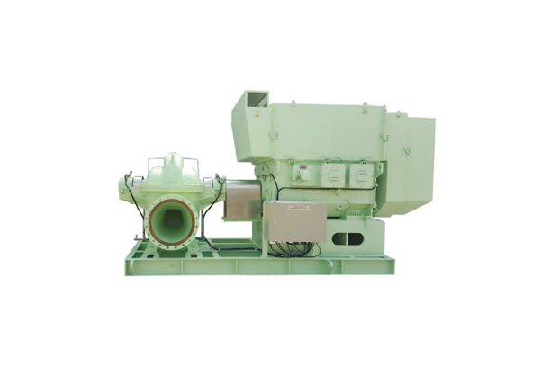 DOUBLE SUCTION CENTRIFUGAL PUMP