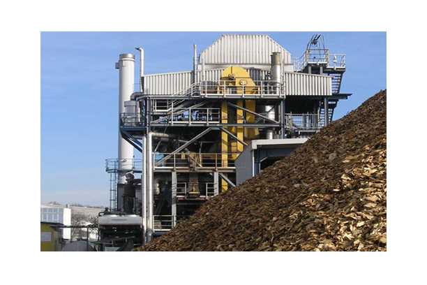 Power Plant Sector (Biomass Power generation system)