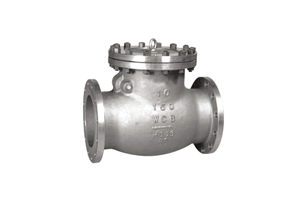 CHECK VALVES