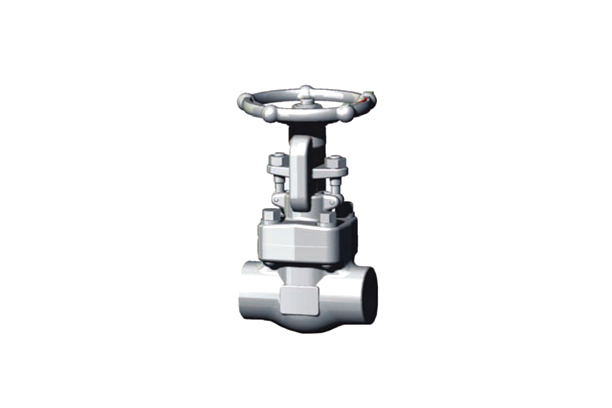 GLOBE VALVES